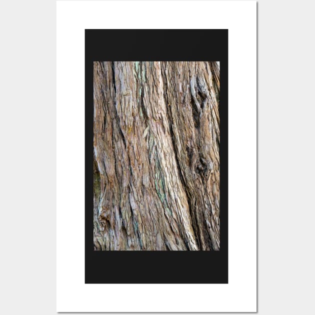 Tree Bark - Natural Texture Closeup Wall Art by Harmony-Mind